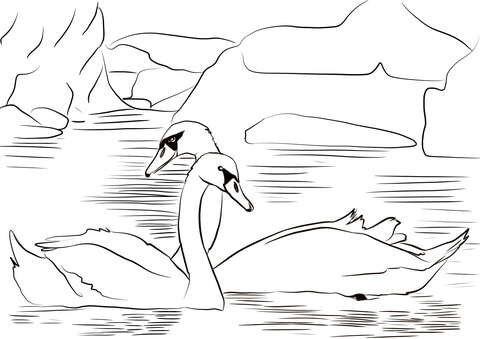 Two Swans Coloring Page